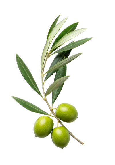 Imagen PNG para descargar